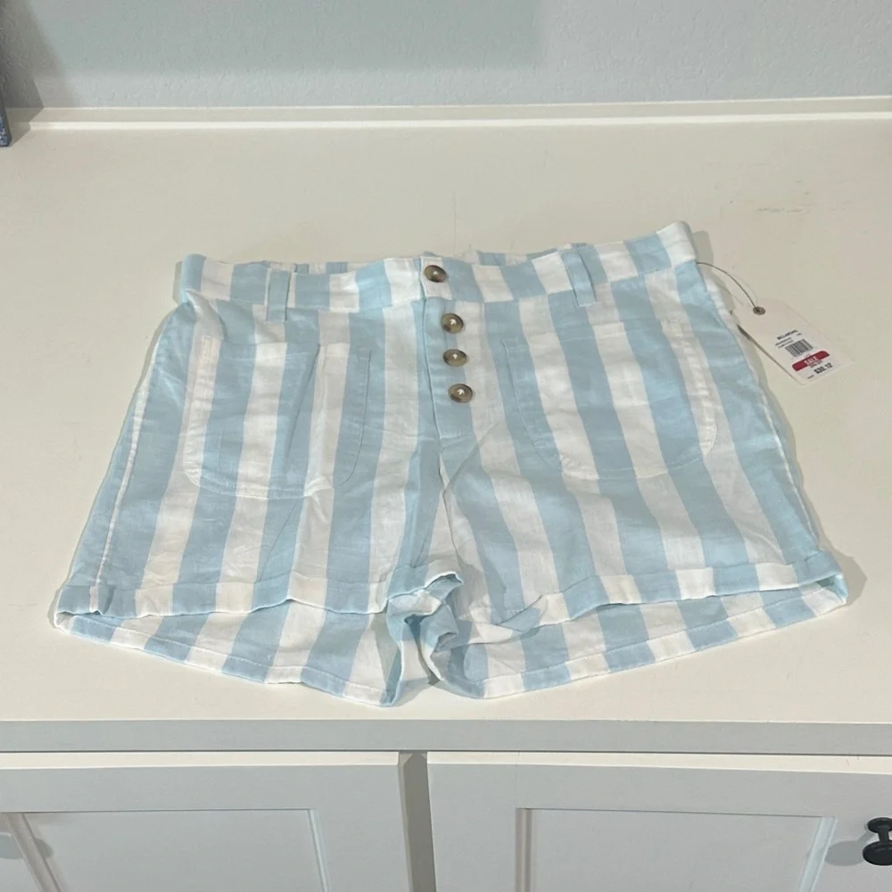 Striped Blue and White Women's Shorts - Picture 1 of 3